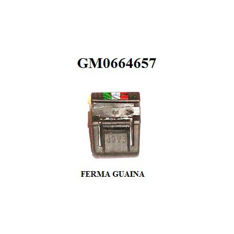 FERMA GUAINA