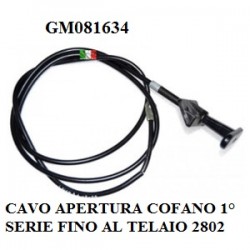 Prodotto Modello