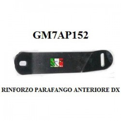 REFUERZO GUARDABARROS DELANTERO DERECHO AIXAM 2010