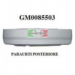 PARAURTI POSTERIORE IN RESINA