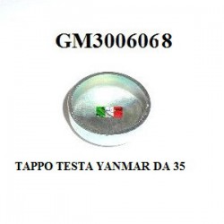 TAPPO TESTATA YANMAR DA 35