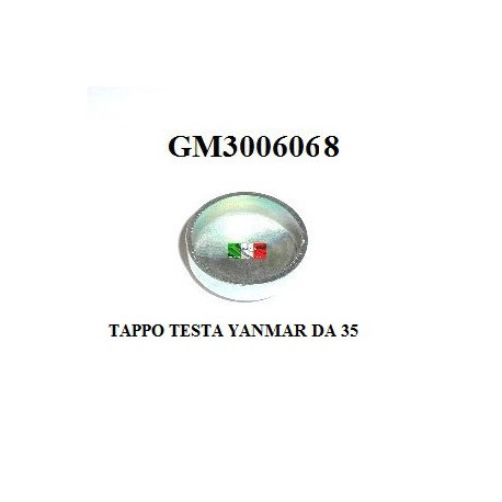 TAPPO TESTATA YANMAR DA 35