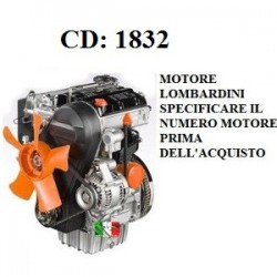 MOTEUR LOMBARDINI LDW502