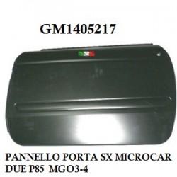 LEFT DOOR PANEL