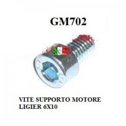 VITE PER SUPPORTO MOTORE
