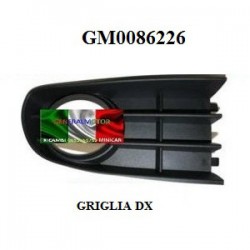 GRILLE DE PARE-CHOCS AVANT DROIT