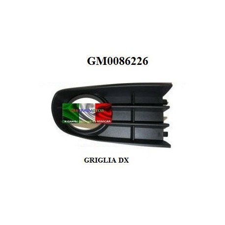 GRIGLIA PARAURTI ANTERIORE DX