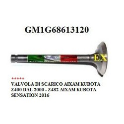 EXHAUST VALVE AIXAM KUBOTA Z402 (2000) Z482 AIXA KUBOTA SENSATION 2016