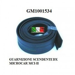 GUARNIZIONE SCENDENTE DX