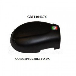 TAPA DE ESPEJO DERECHO LIGIER IXO - JS50