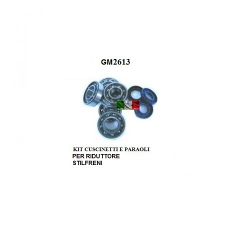 KIT REVISIONE RIDUTTORE STILFRENI