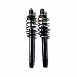 PAR DE AMORTIGUADORES DELANTEROS LIGIER IXO
