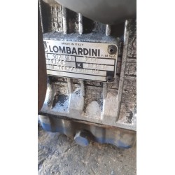 LOMBARDINI LDW 502 M3 SERIE NACKTER MOTOR
