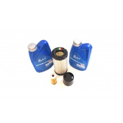 KIT DE SERVICIO PARA MICROCOCHE Y CHATENET CON MOTOR YANMAR