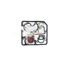 MOTORES LOMBARDINI SERIE LDW502
