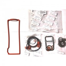 GASKET AND RING KIT HIGH LOMBARDINI 442-492 DCI MICROCAR LIGIER GRECAV