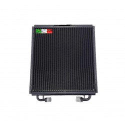 RADIATORE CLIMA AIXAM 2010 - 2013 VEDI APPLICAZIONE