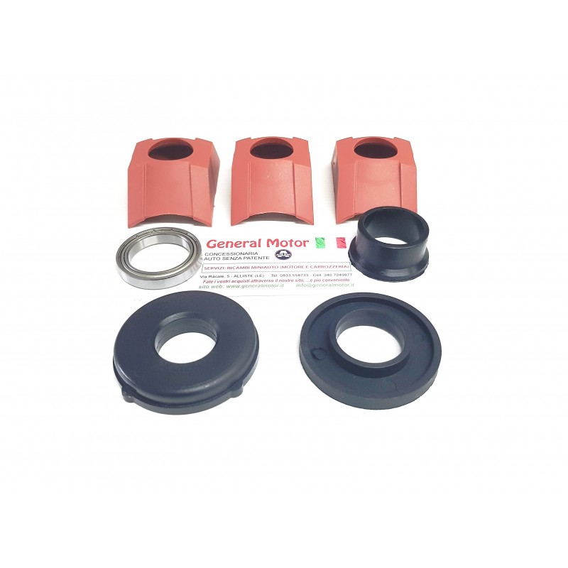 KIT DE REVISION DU VARIATEUR COTE MOTEUR ANCIENNE SERIE