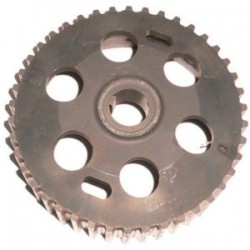 PIGNONE CORONA