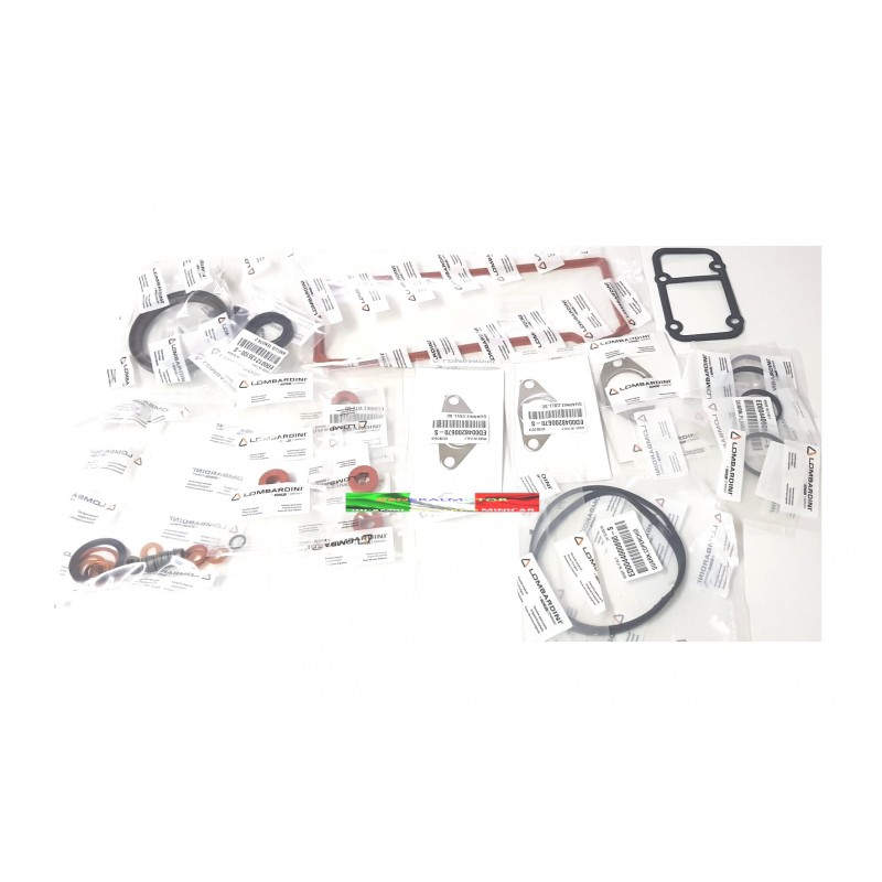 KIT GUARNIZIONI E ANELLI ALTE LOMBARDINI LDW442-492