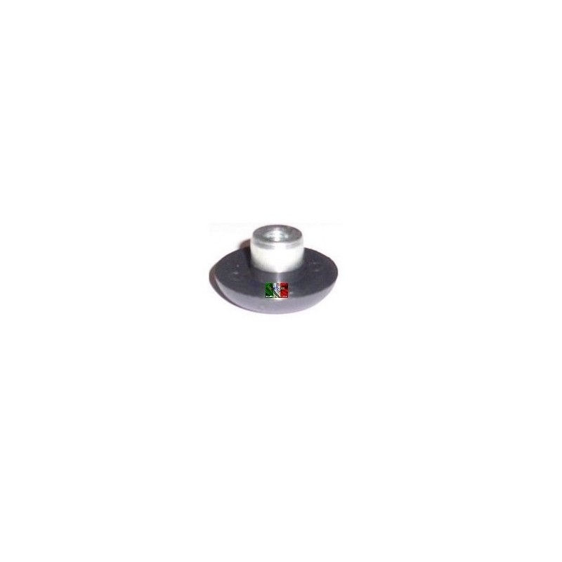 AIXAM TAILGATE GLASS NUT