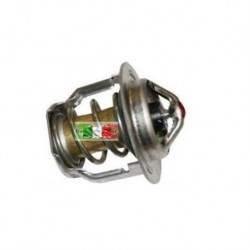 TERMOSTATO MOTORE YANMAR