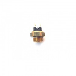BULBE DE RADIATEUR. COMMANDE DE VENTILATEUR CASALINI