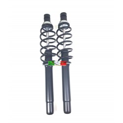 PAIR OF FRONT SHOCK ABSORBERS CH26 EVO CH40 - CH46