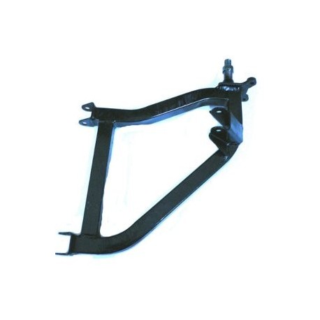 TRIANGOLO POSTERIORE SINISTRO