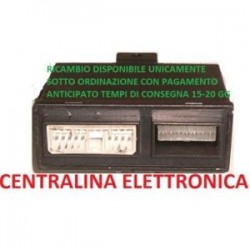 CENTRALINA ELETTRONICA INTERNA