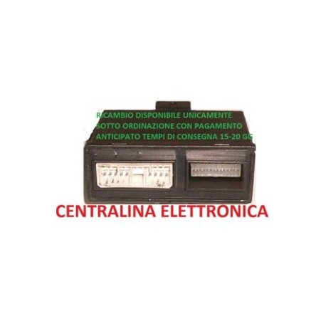 CENTRALINA ELETTRONICA INTERNA