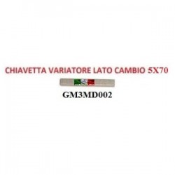 CHIAVETTA PER VARIATORE LATO CAMBIO 5X70