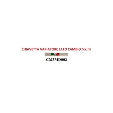CHIAVETTA PER VARIATORE LATO CAMBIO 5X70