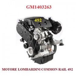 MOTORE 492 COMMON RAIL