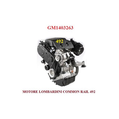 MOTORE 492 COMMON RAIL