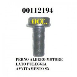 PERNO ALBERO MOTORE LATO PULEGGIA