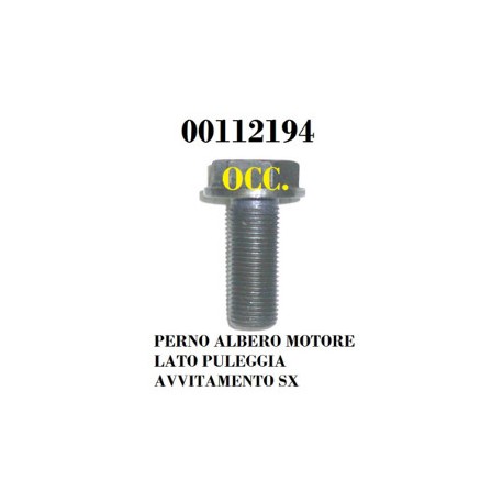 PERNO ALBERO MOTORE LATO PULEGGIA