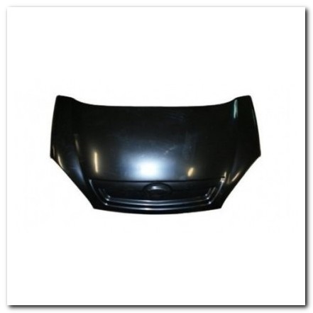 Cofano e Portelloni | generalmotor.it