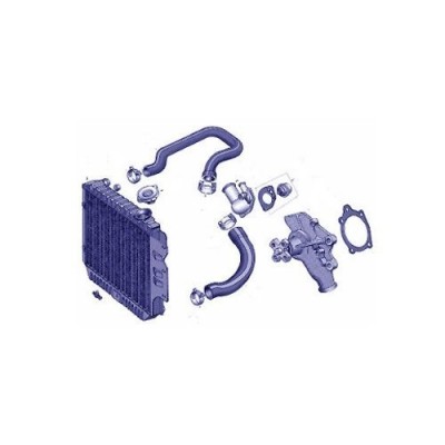 Refroidissement du moteur et alimentation pièce de rechange pour Ligier Js50 F4 Sport (Js66)