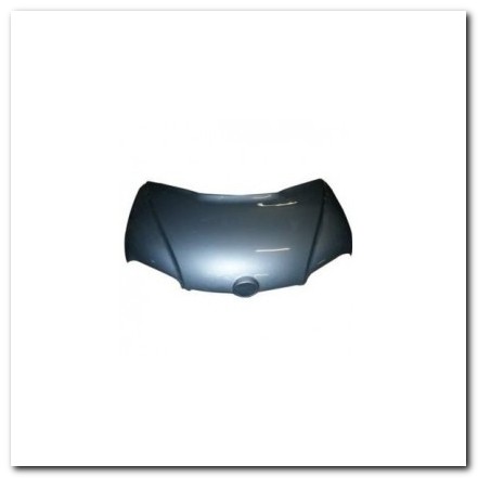 Cofano e Portelloni | generalmotor.it